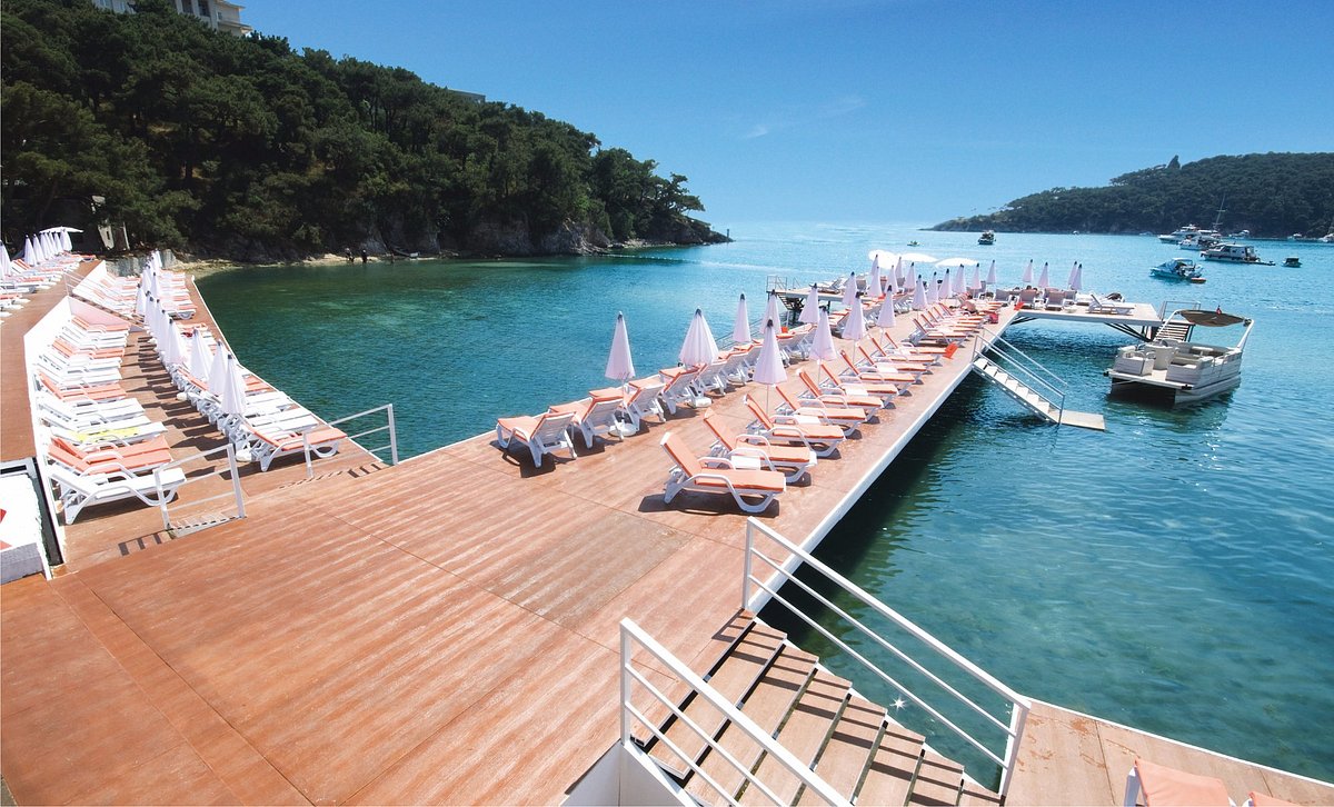 Heybeliada Ada Beach çam ormanları