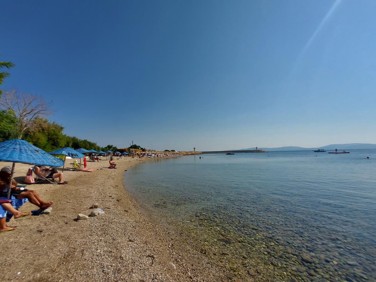 Korsan Yatağı Koyu