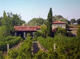 Urlice Vineyards