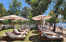 Alas Bodrum Gümüşlük