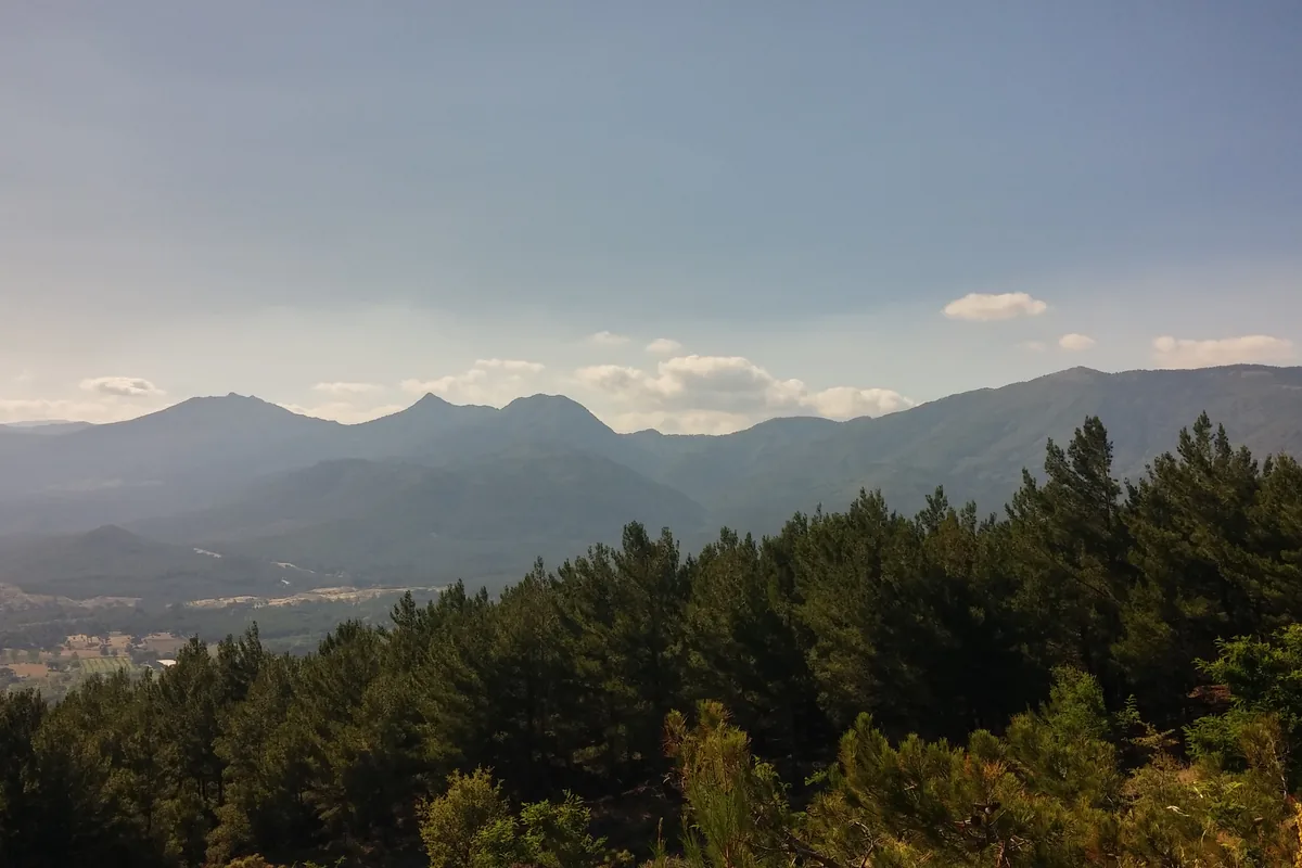 Kaz Dağları'nın (İda) sıradağ silüeti, önde çam ormanı