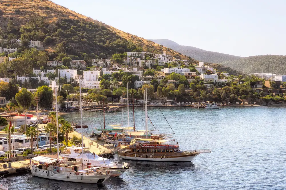 Bodrum limanında yan yana bağlı çok sayıda gulet ve yelkenli