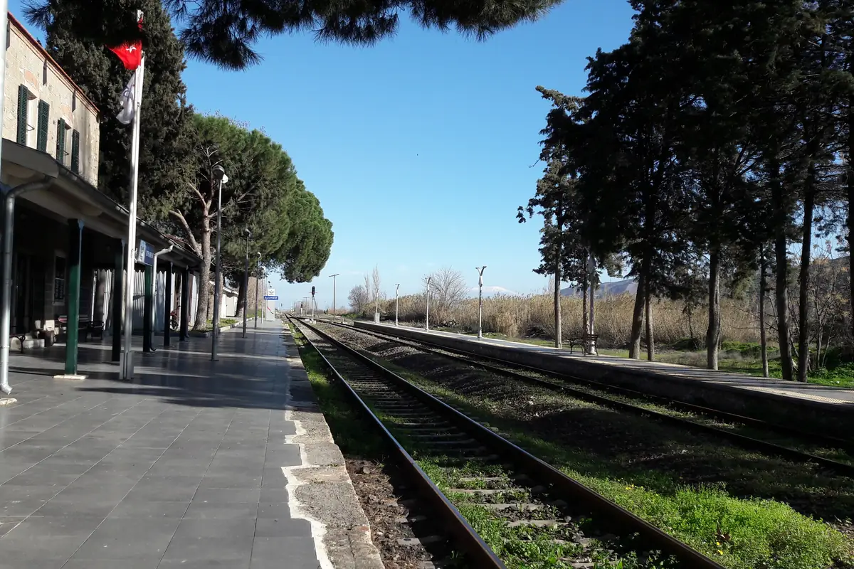 Buharkent tren istasyonunun platformu, çam ağaçları ve ray hattı