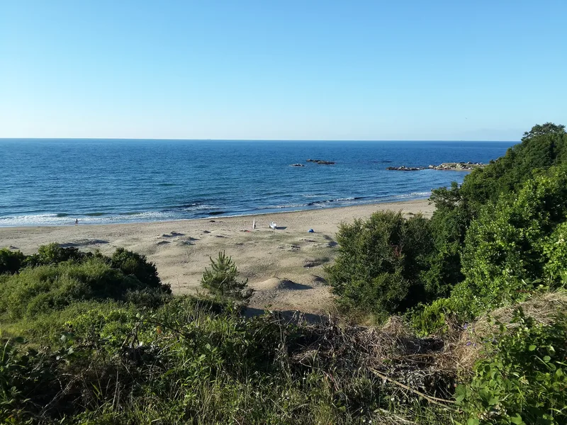 Dikili Tuzağzı sahilinde plaj ve turkuaz deniz