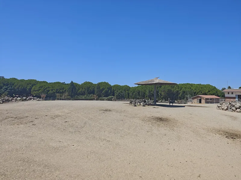 İzmir Doğal Yaşam Parkı'nda ağaçlık gezi alanı