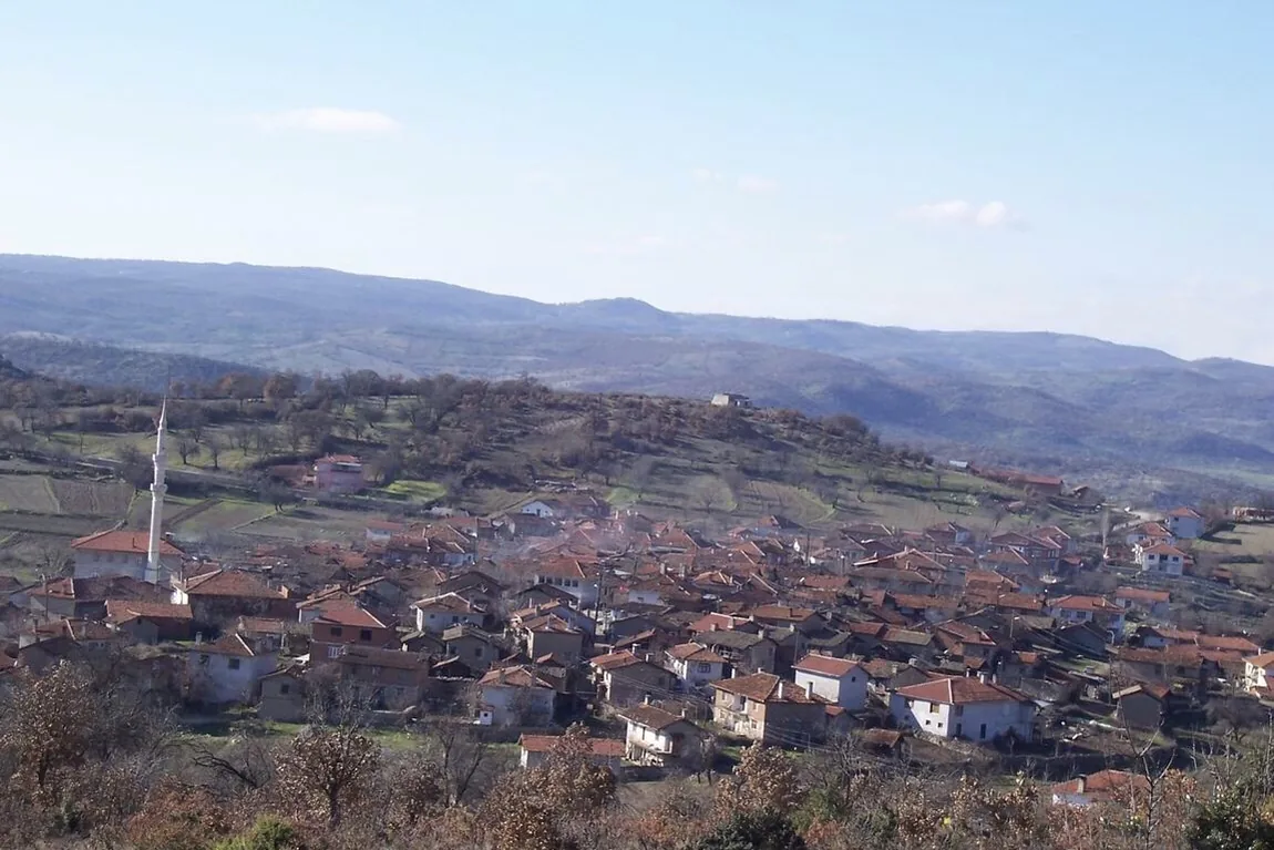 Çatalçam mahallesinin tepeden görünümü, kırmızı kiremitli evler ve cami minaresi