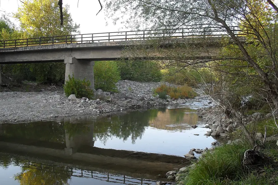 Aşağıyağcılar mahallesinde dere üzerindeki beton köprü ve çevresindeki orman