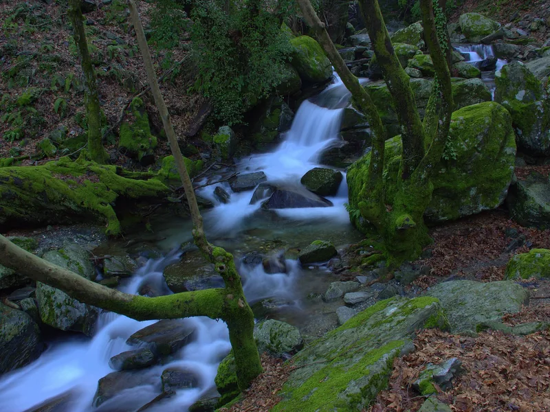 Kazdağı Milli Parkı'nda ormanlık vadide çağlayan bir dere