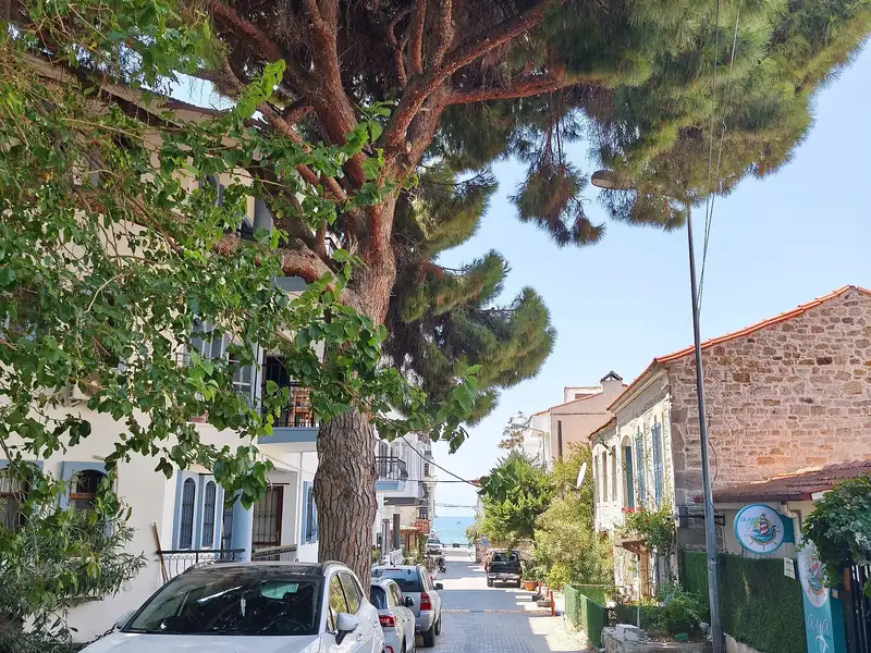 Foça'da denize açılan dar sokak ve iki yanındaki beyaz evler