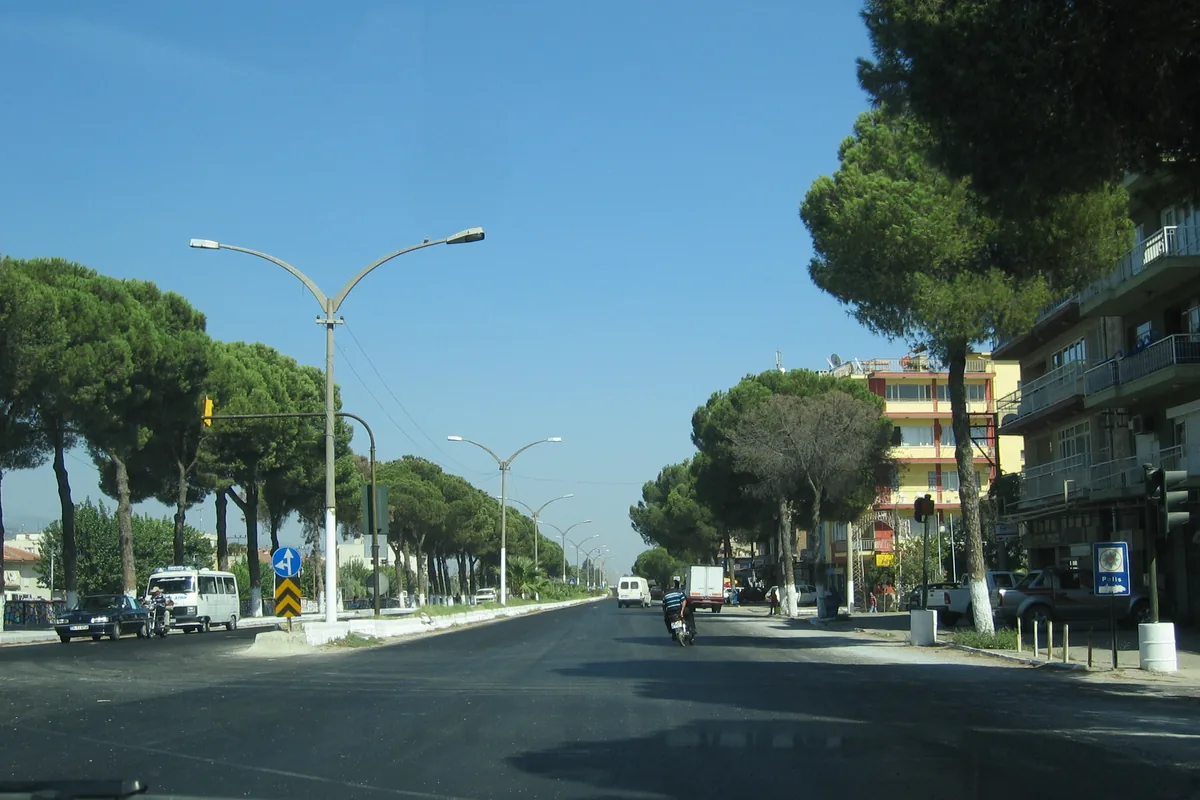 Germencik ilçe merkezinde çam ağaçlarıyla çevrili ana cadde