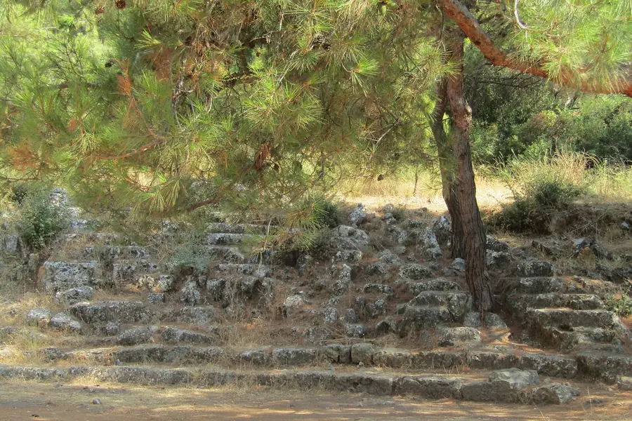 Panionion antik alanında basamaklı taş teras