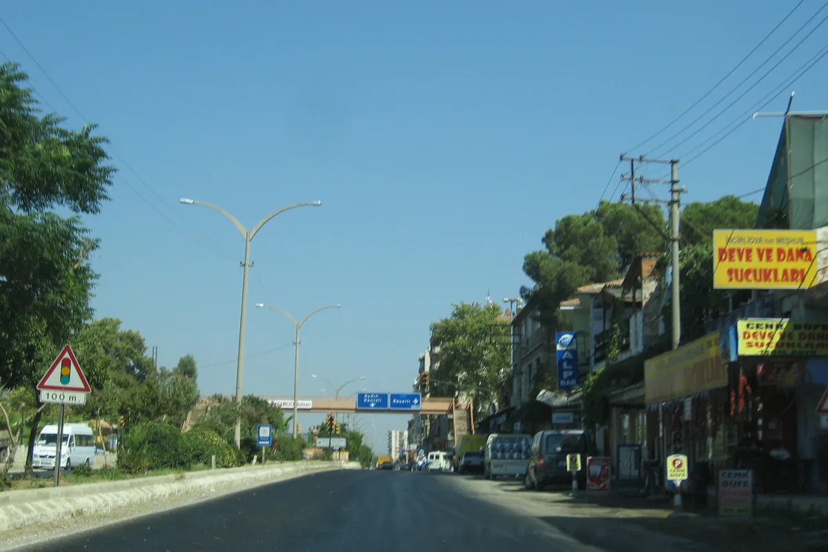 İncirliova'da yol kenarında deve ve dana sucuğu satan dükkanların tabelaları