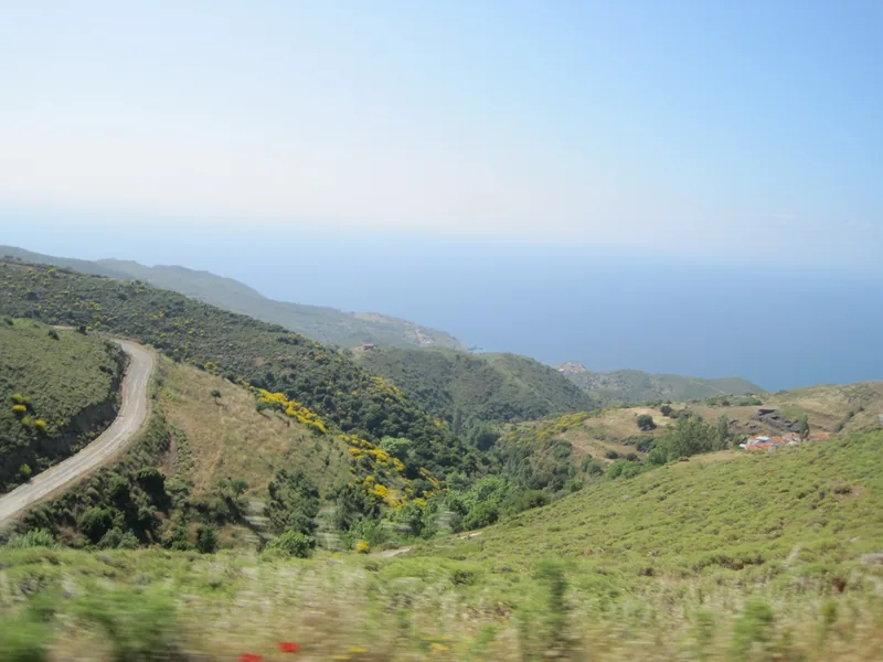 Karaburun yarımadasında yeşil tepeler arasından inen virajlı yol