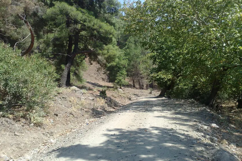 Karacasu çevresinde ağaçlarla çevrili şelale yolu patikası