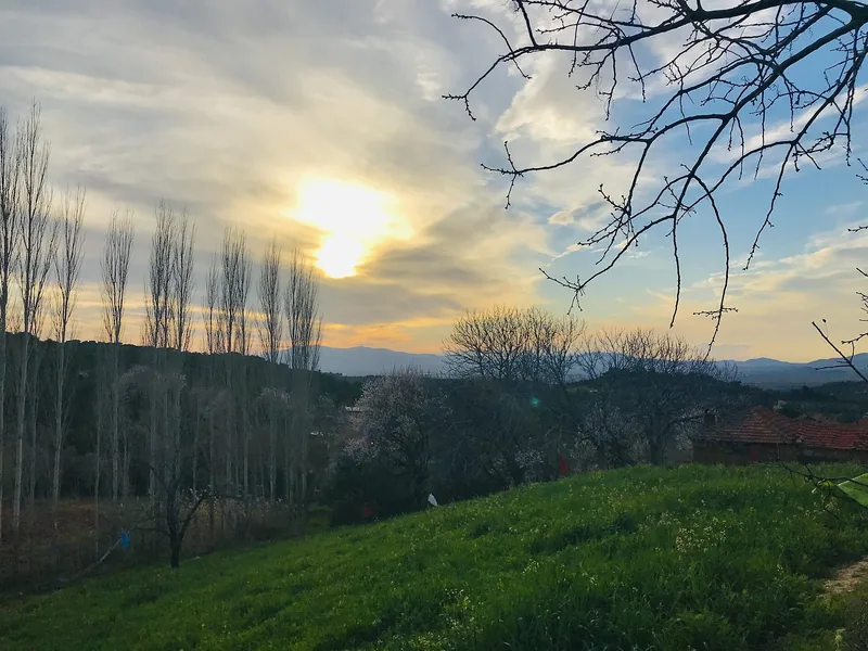 Bakırçay havzasında gün batımı ve kavak sıraları