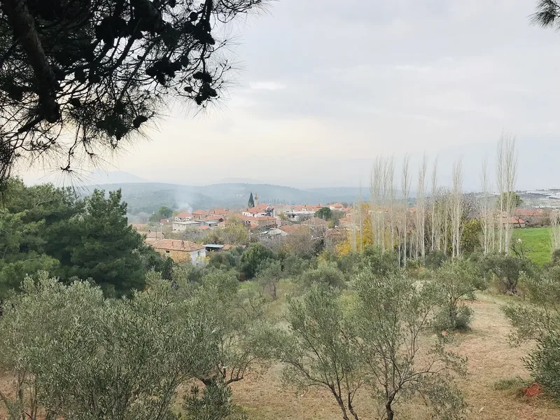 Bakırçay havzasında kavaklıklar arasında bir köy