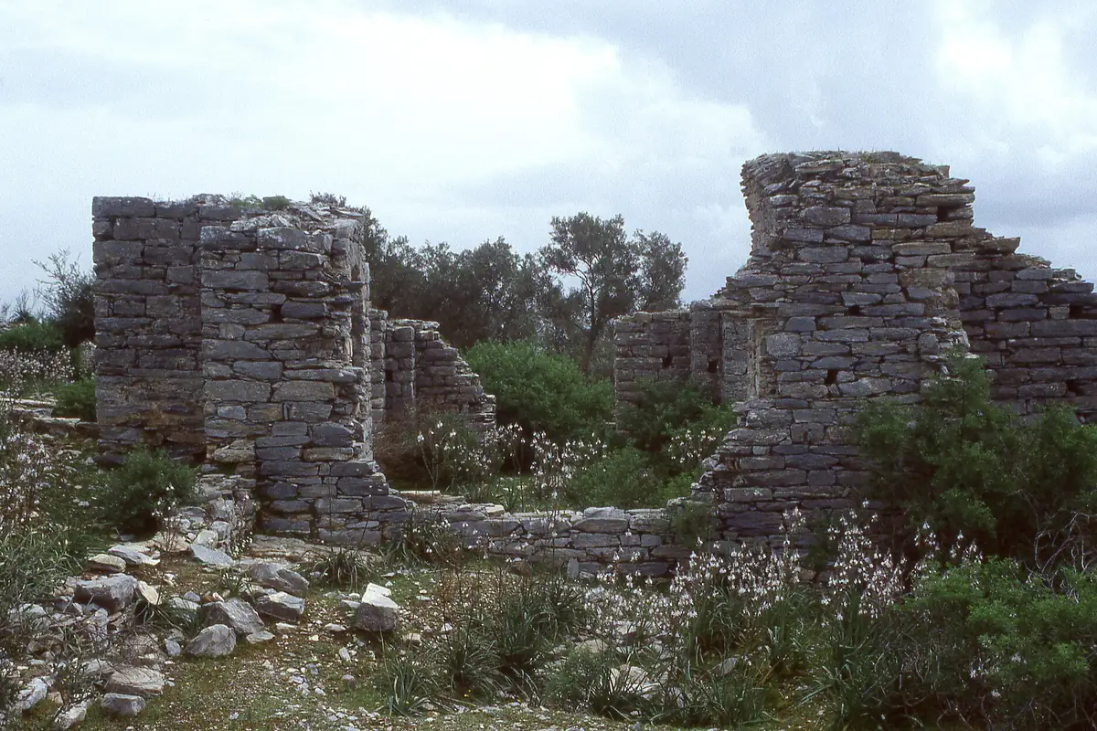 İasos Antik Kenti'nden bir kalıntı, kır çiçekleri arasında