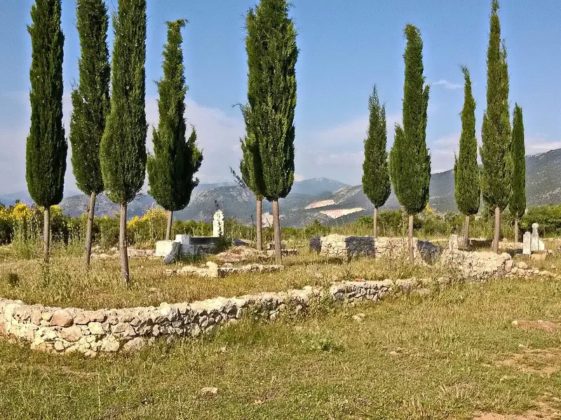 Beçin'de Menteşe dönemi mezarlığı ve servi ağaçları