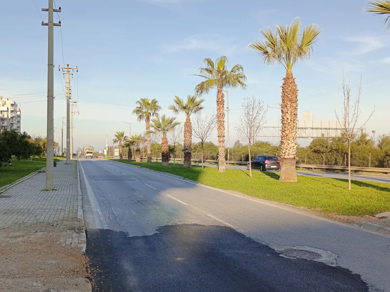 Narlıdere'de Mithatpaşa Caddesi ve palmiyeli orta refüj