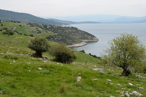 Notion antik kentinden koy ve deniz manzarası