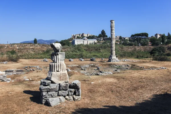 Artemis Tapınağı'ndan kalan sütun ve arkada Ayasuluk Kalesi