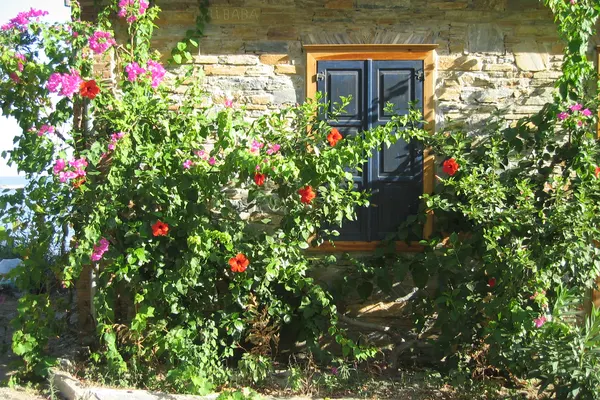Begonvilli taş ev ve ahşap pencere, Seferihisar