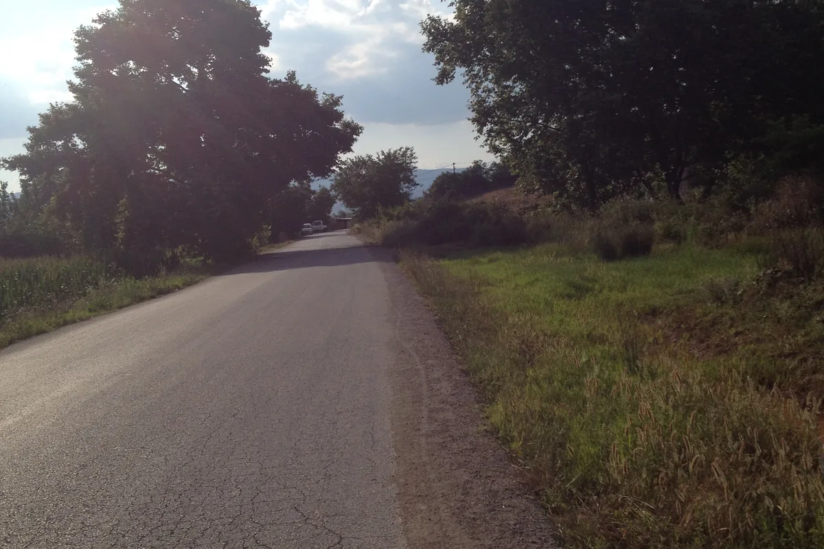 Susurluk'un Yaylaçayır mahallesinde ağaçlarla çevrili kırsal bir yol, arka planda tepeler