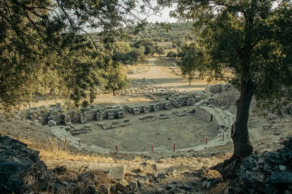 Teos antik tiyatrosunun havadan görünümü