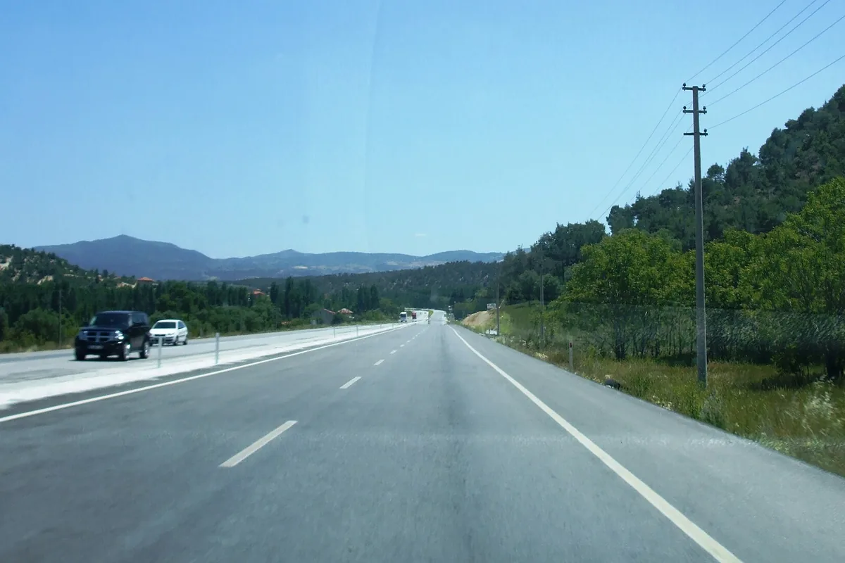 Kütahya-Uşak karayolunda orman ve tepelerle çevrili yol