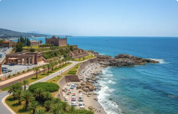 İzmir - Didim Transfer