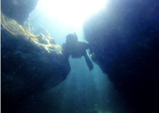 Teos Sualtı ve Deniz Hayatı Sığacık