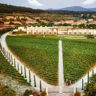 Urla Bağ Yolu Şarap Bağları